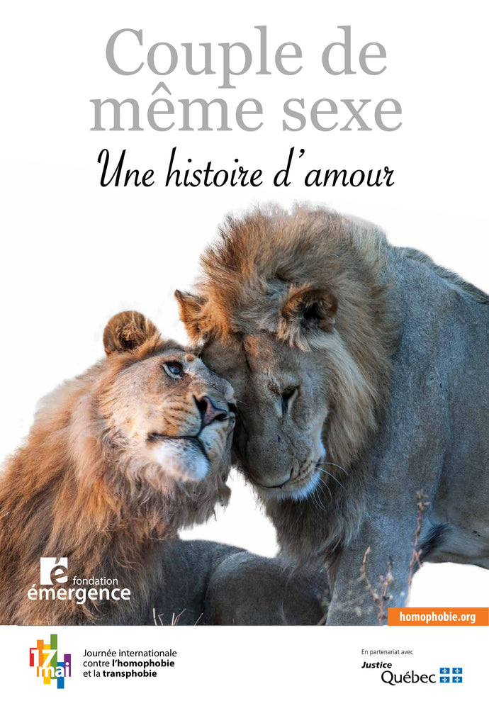 poster: Same-sex couple - A love story